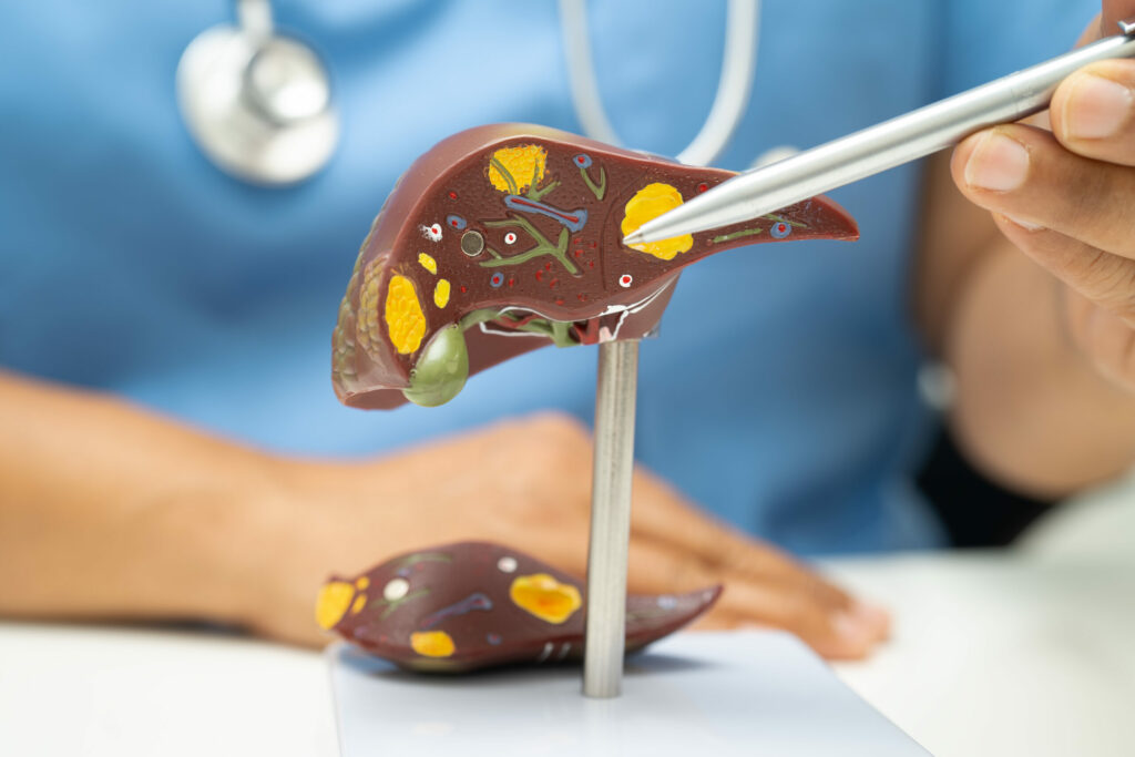 Gall Bladder