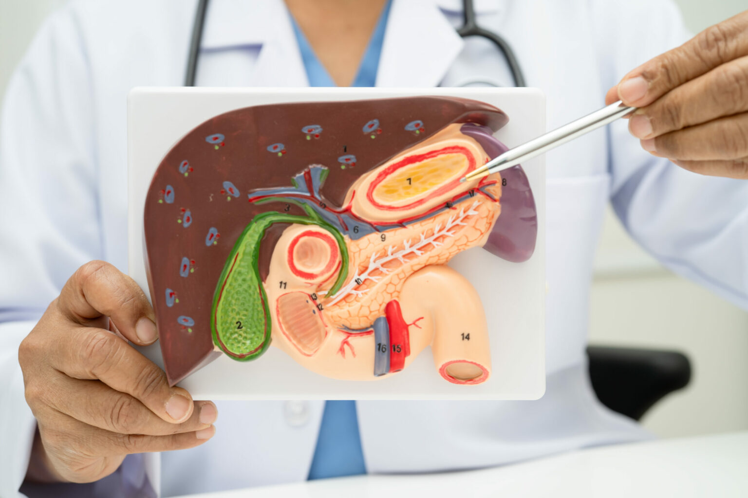 Gall bladder